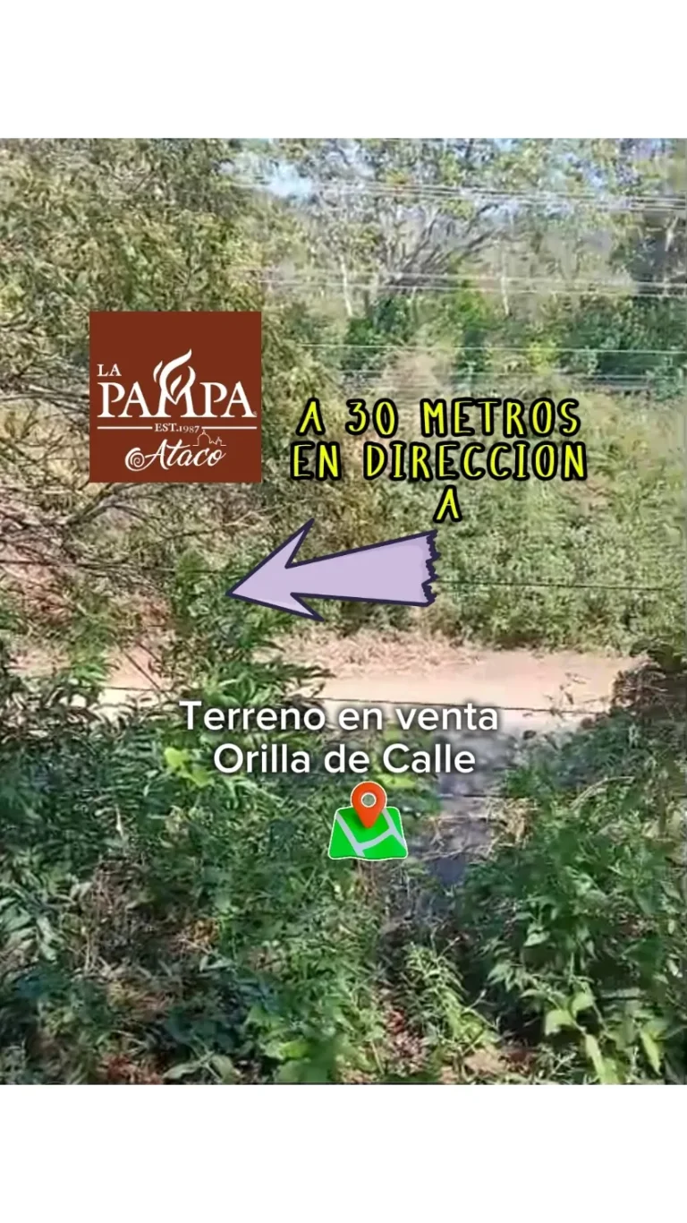 Terreno Plano de 1,200 m² en Ataco a 30 Metros de La Pampa | Ruta de las Flores